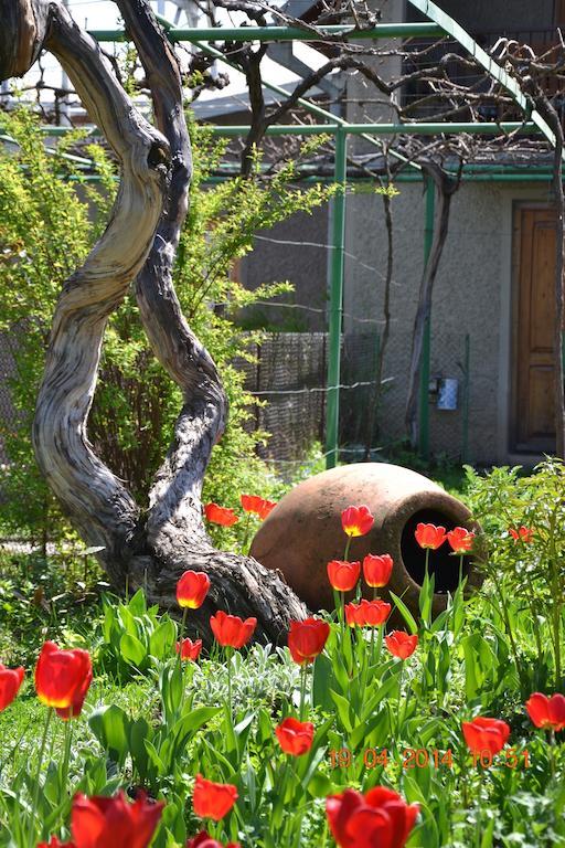 Milorava'S Guest House & Wine Cellar Telawi Exterior foto