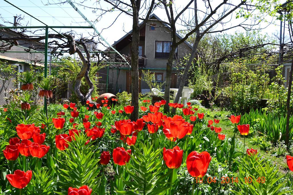 Milorava'S Guest House & Wine Cellar Telawi Exterior foto